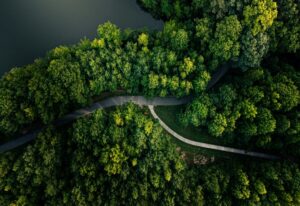 Resiliency & Mitigation